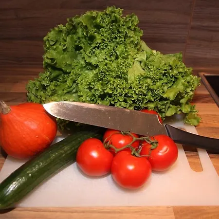 圣卢卡斯公寓式旅馆 公寓