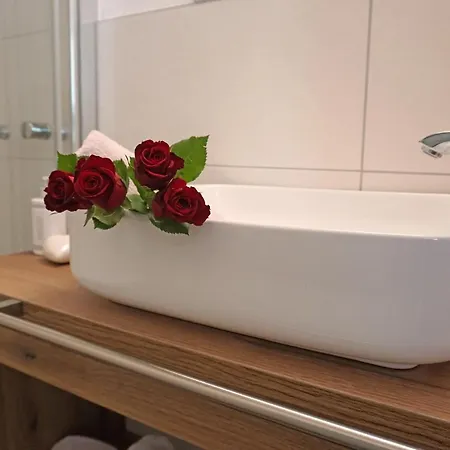 圣卢卡斯公寓式旅馆 * 湖城